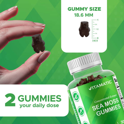 Vitamatic Sea Moss, Bladderwrack & Burdock Root Gummies Concentrated Extract - Natural Raspberry Flavor, Vegan, 60 Count