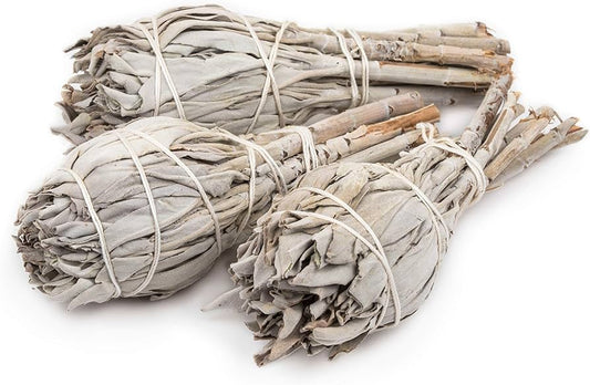 White Sage Torch Wands