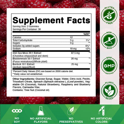 Vitamatic Sea Moss, Bladderwrack & Burdock Root Gummies Concentrated Extract - Natural Raspberry Flavor, Vegan, 60 Count