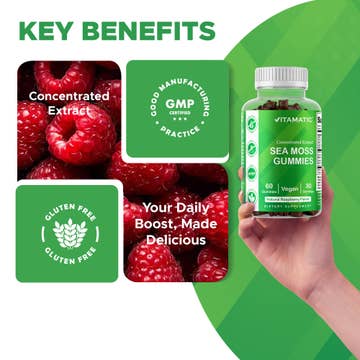 Vitamatic Sea Moss, Bladderwrack & Burdock Root Gummies Concentrated Extract - Natural Raspberry Flavor, Vegan, 60 Count